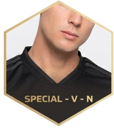 Special V Neck